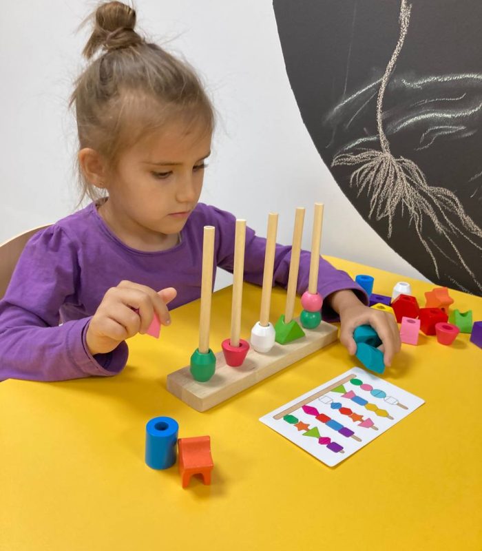 5190490221307885010 (1)